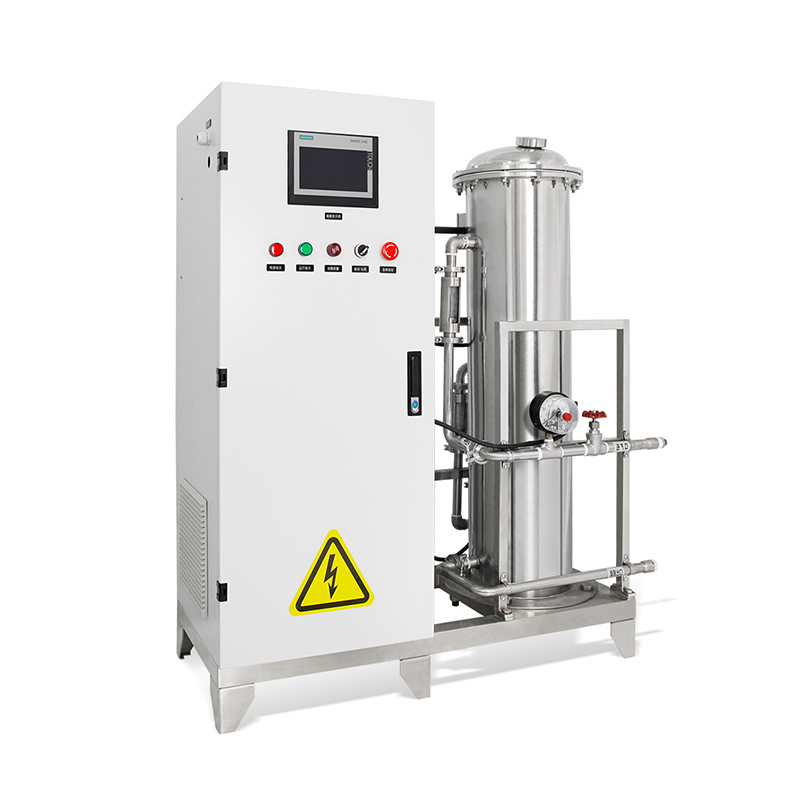 Flygoo 400g 500g 1kg 2kg Generador de ozono industrial con descarga Corona para tratamiento de agua