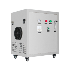 Generador de oxígeno industrial PSA de pureza del 95% Flygoo 10LPM