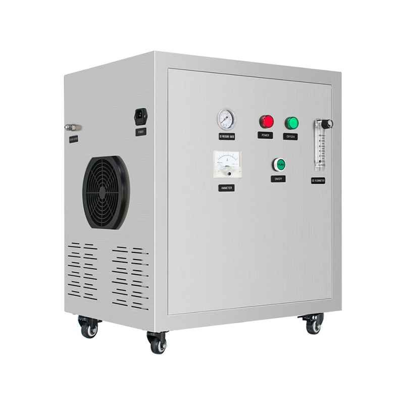 Generador de oxígeno industrial PSA de pureza del 95% Flygoo 10LPM