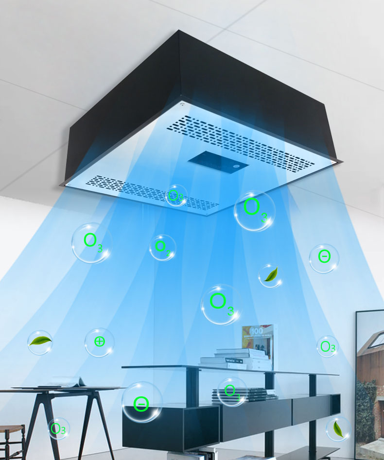 Máquina profesional del purificador del aire O3 del generador de ozono comercial