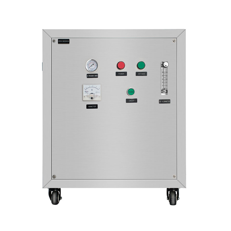 Generador de oxígeno industrial PSA de pureza del 95% Flygoo 10LPM