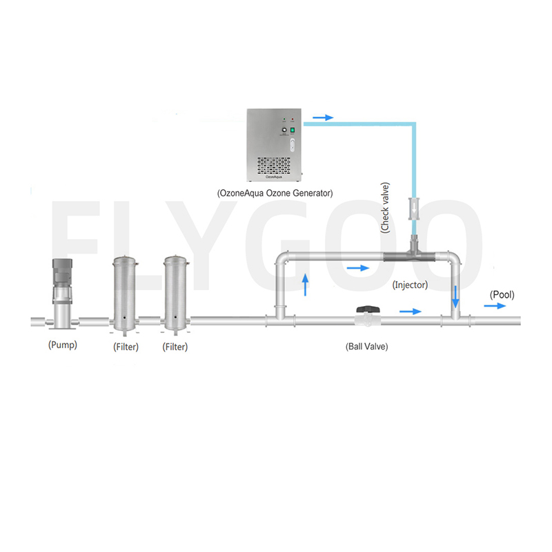 Generador de ozono portátil Flygoo China Air Source para piscinas