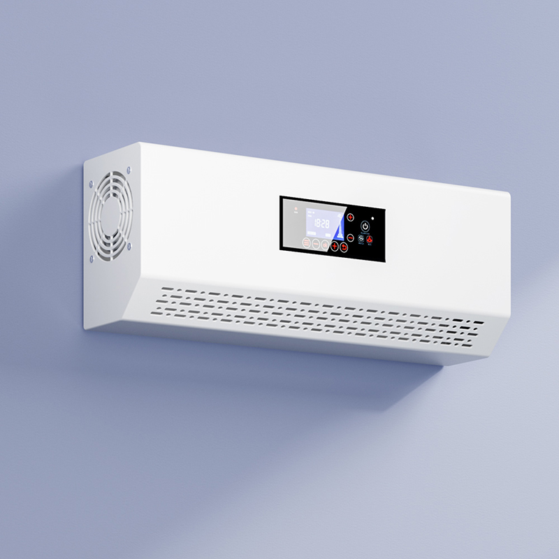 Generador de ozono purificador de aire Flygoo 10g para aula escolar y laboratorio