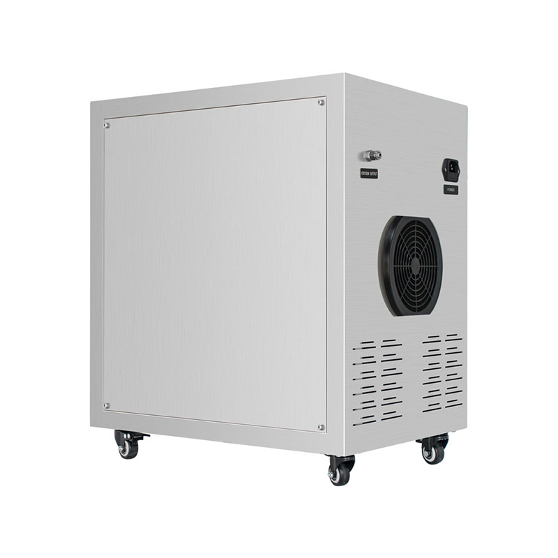 Generador de oxígeno industrial PSA de pureza del 95% Flygoo 10LPM