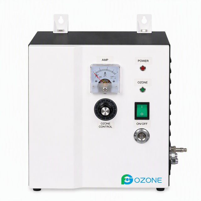 Generador de ozono Flygoo 3-8G recién llegado para tratamiento de agua potable y piscinas